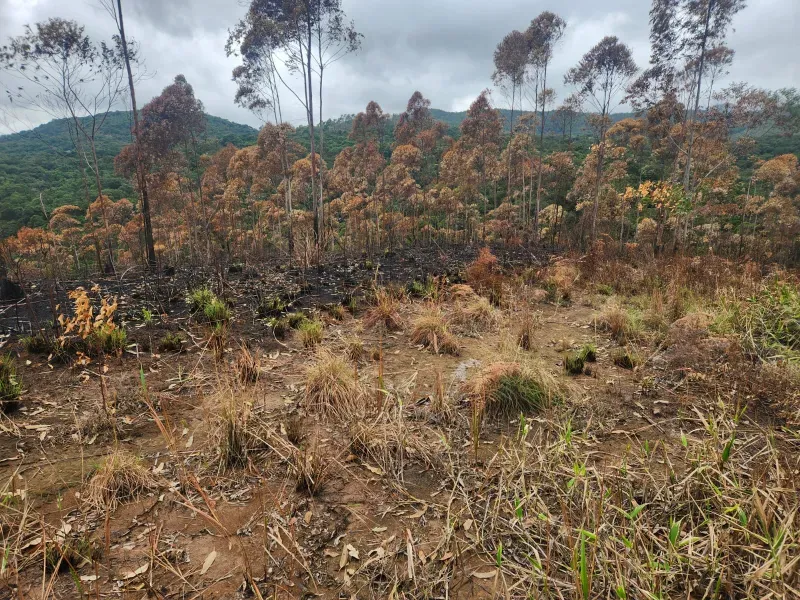 Sítio em Nazaré Paulista/São Paulo — Ref TI8GK0 — Imagem 3