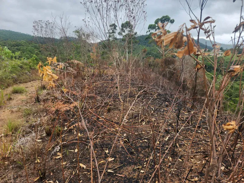 Sítio em Nazaré Paulista/São Paulo — Ref TI8GK0 — Imagem 6