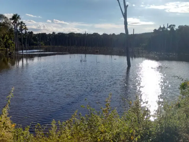 Fazenda em Goiatins/Tocantins — Ref Q7KJ32 — Imagem 7