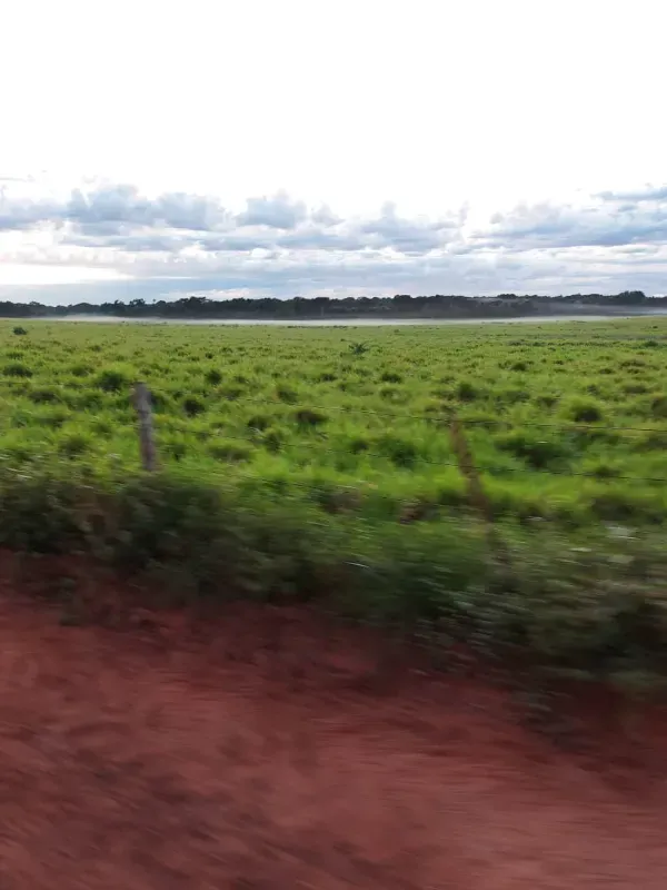 Fazenda em Goiatins/Tocantins — Ref Q7KJ32 — Imagem 10