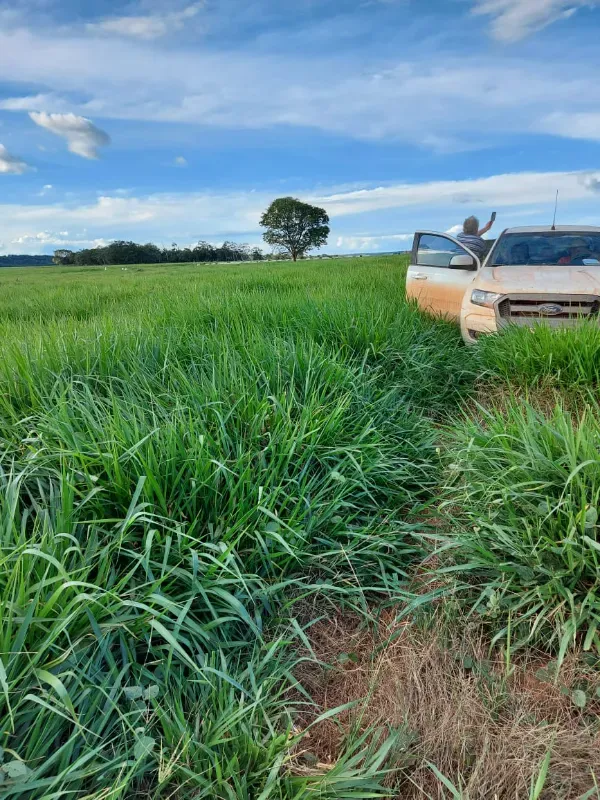 Fazenda em Goiatins/Tocantins — Ref Q7KJ32 — Imagem 11