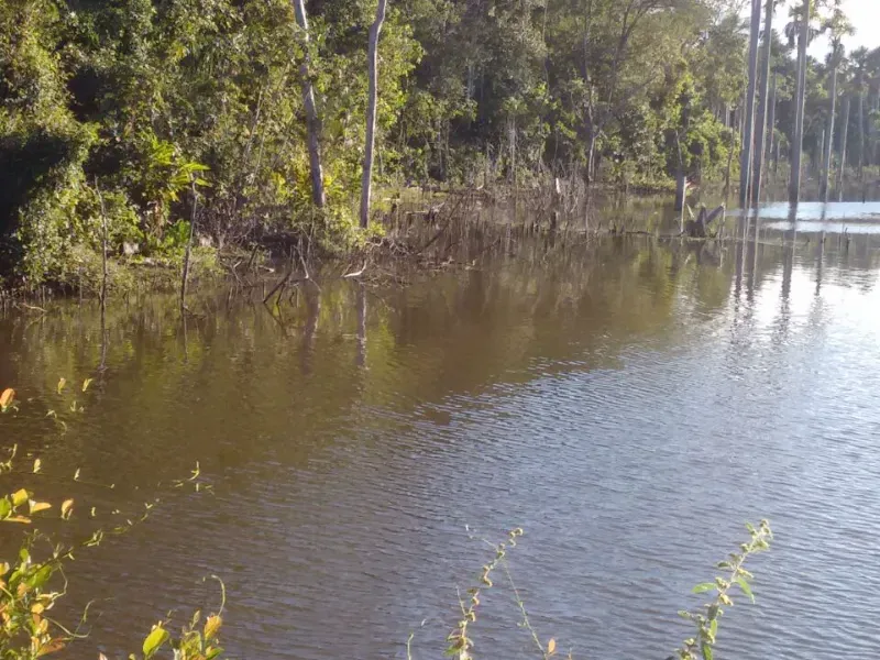 Fazenda em Goiatins/Tocantins — Ref Q7KJ32 — Imagem 8