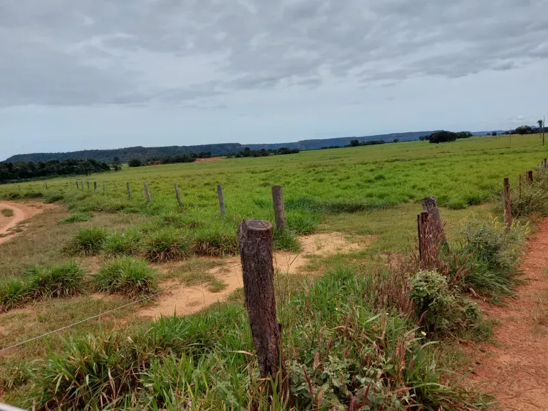 Fazenda em Goiatins/Tocantins — Ref Q7KJ32 — Imagem 9