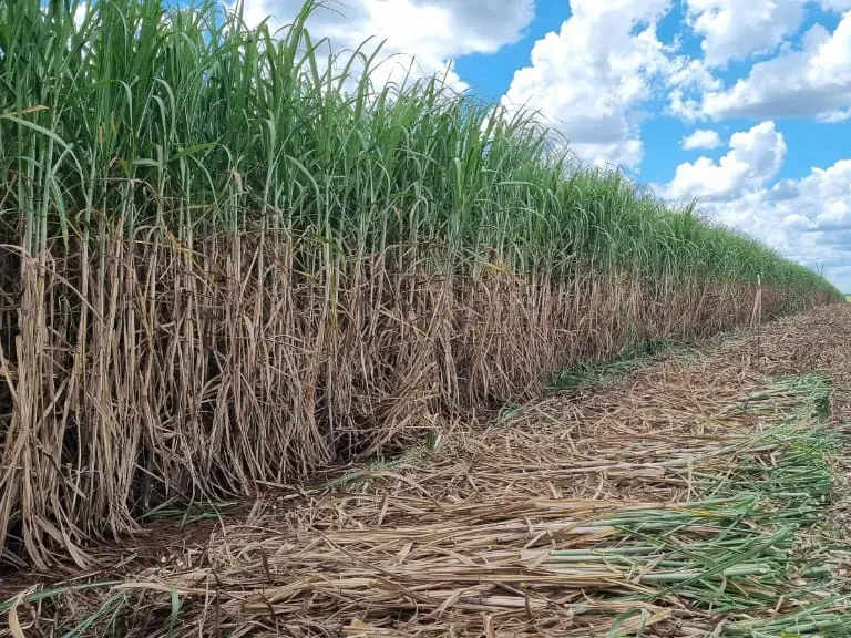 Fazenda em Ribeirão Preto/São Paulo — Ref 9DDK8K — Imagem 24