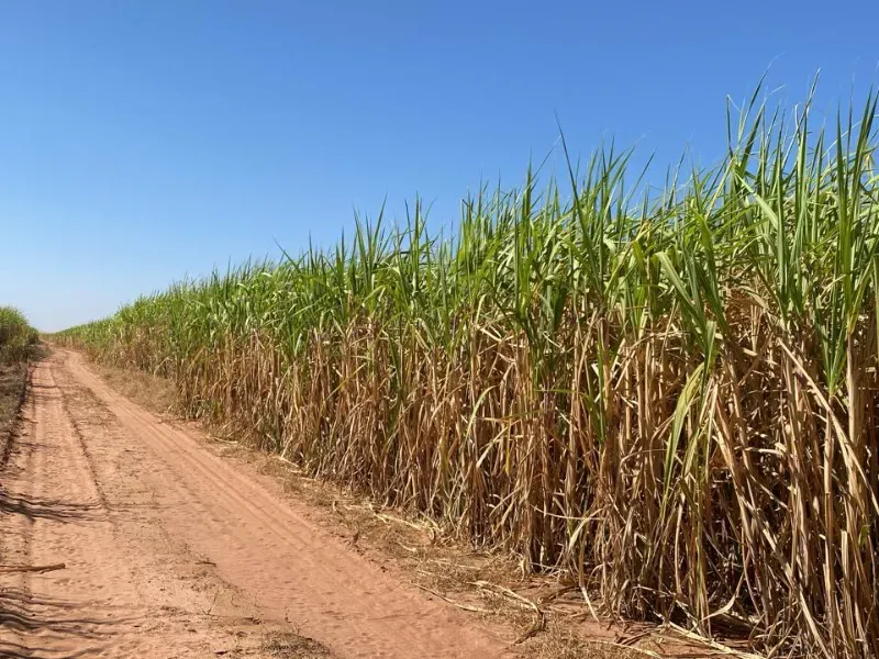 Fazenda em Ribeirão Preto/São Paulo — Ref 9DDK8K — Imagem 26