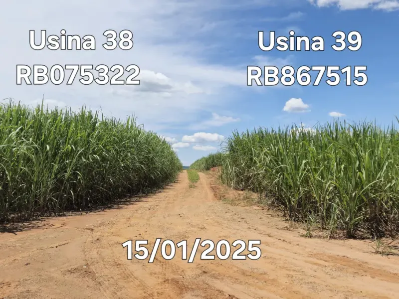 Fazenda em Ribeirão Preto/São Paulo — Ref 9DDK8K — Imagem 27