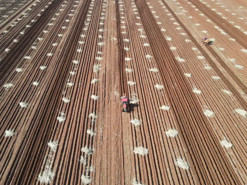 Fazenda em Ribeirão Preto/São Paulo — Ref 9DDK8K — Imagem 14