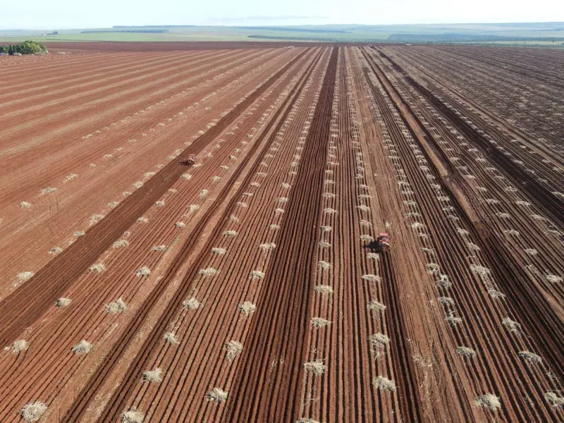 Fazenda em Ribeirão Preto/São Paulo — Ref 9DDK8K — Imagem 13