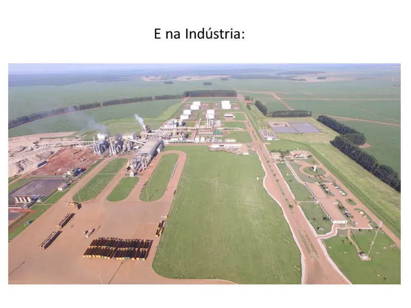 Fazenda em Ribeirão Preto/São Paulo — Ref 9DDK8K — Imagem 9