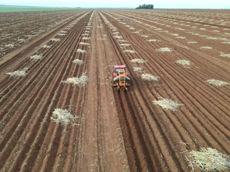 Fazenda em Ribeirão Preto/São Paulo — Ref 9DDK8K — Imagem 15