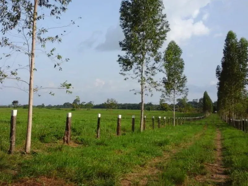 Fazenda em Tucuruí/Pará — Ref SU7204 — Imagem 2