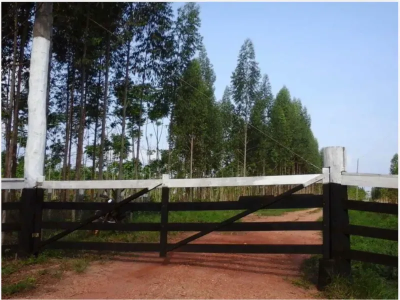 Fazenda em Tucuruí/Pará — Ref SU7204 — Imagem 9