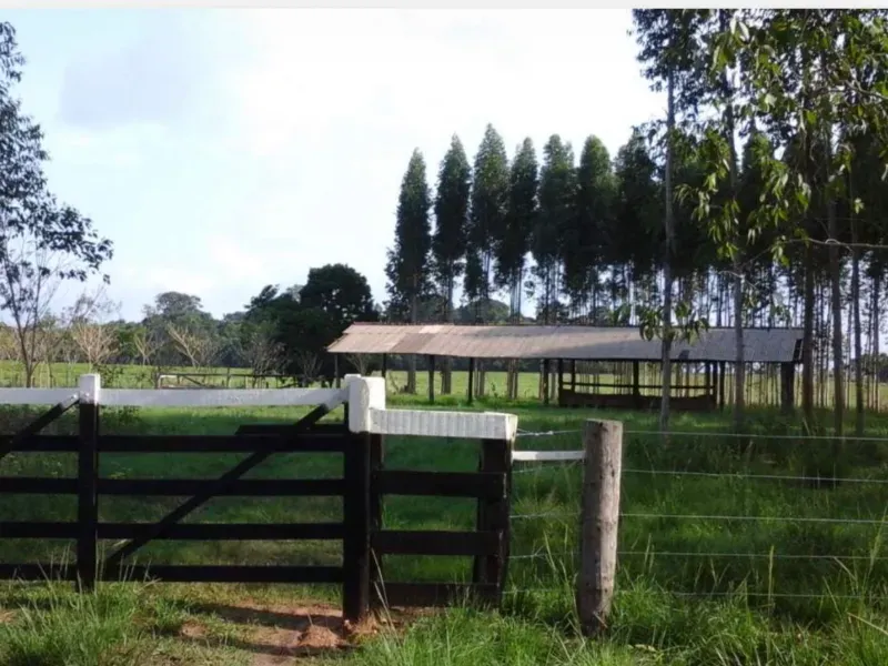 Fazenda em Tucuruí/Pará — Ref SU7204 — Imagem 10