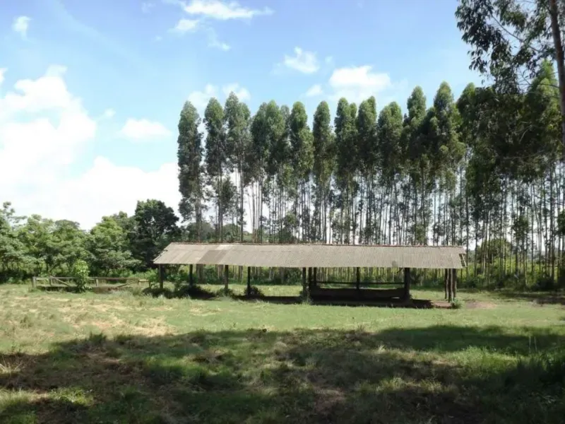 Fazenda em Tucuruí/Pará — Ref SU7204 — Imagem 11