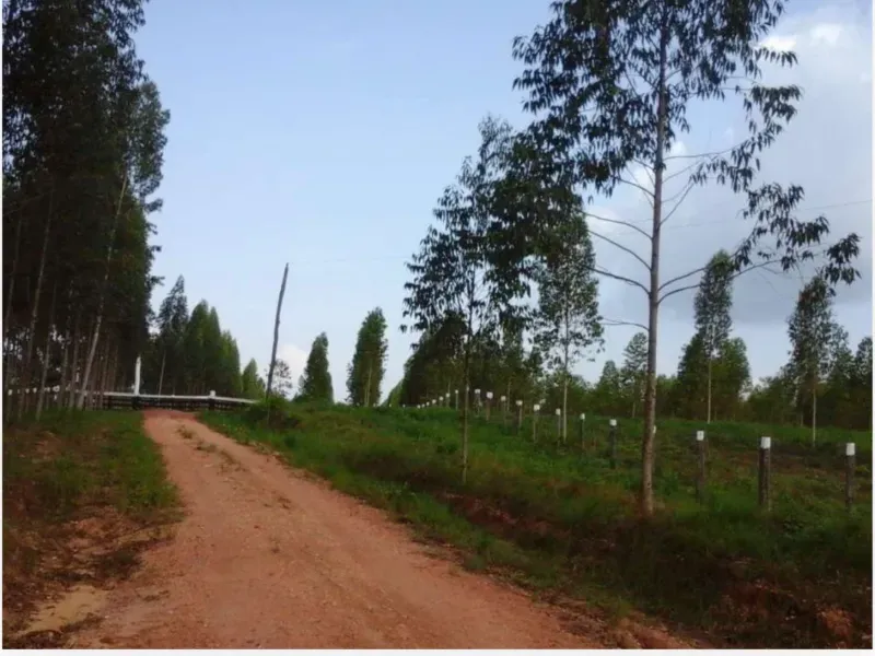 Fazenda em Tucuruí/Pará — Ref SU7204 — Imagem 13