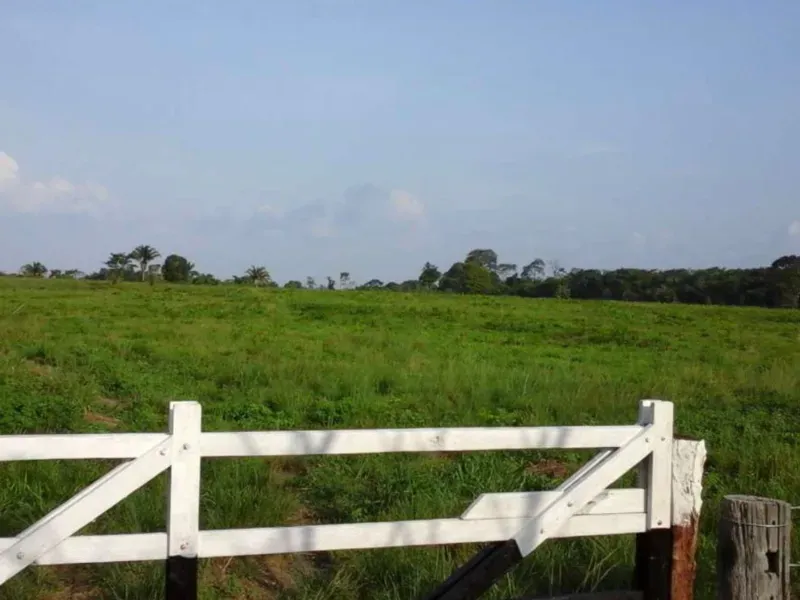 Fazenda em Tucuruí/Pará — Ref SU7204 — Imagem 15
