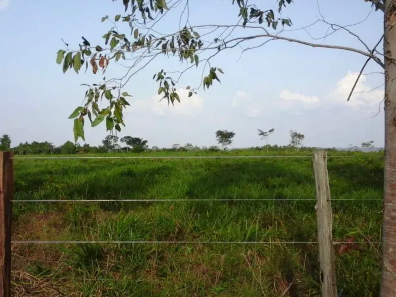 Fazenda em Tucuruí/Pará — Ref SU7204 — Imagem 16