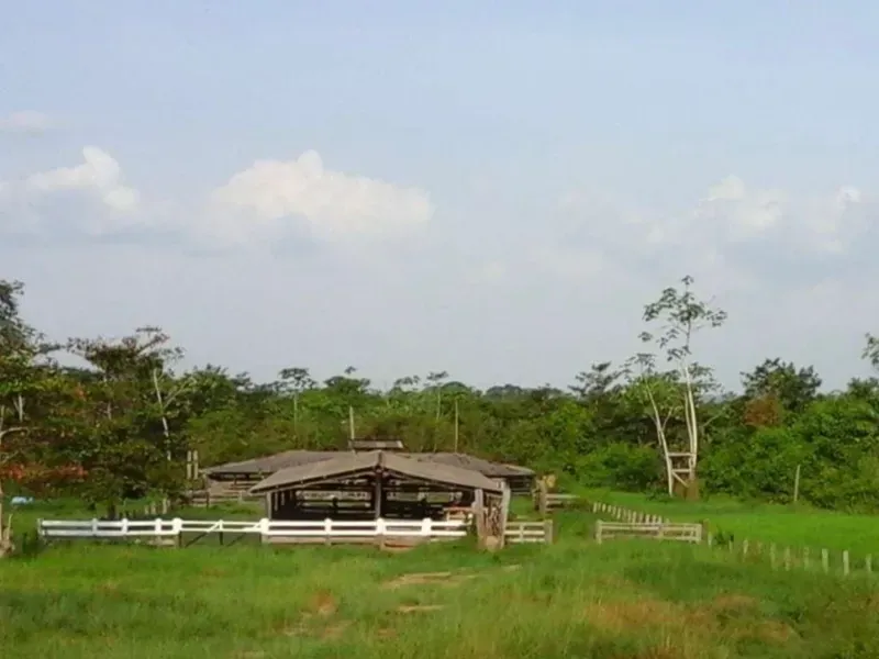 Fazenda em Tucuruí/Pará — Ref SU7204 — Imagem 4