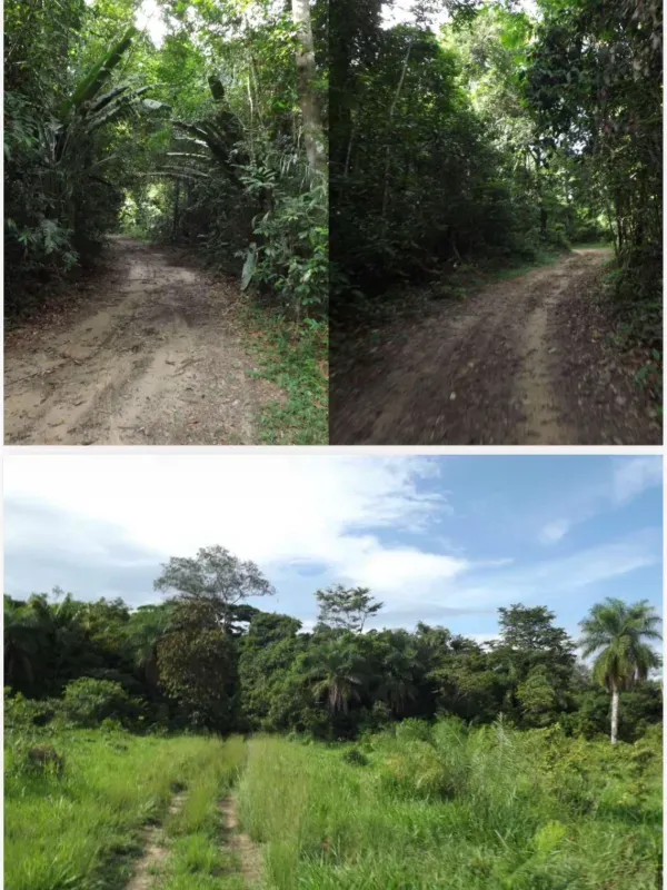 Fazenda em Tucuruí/Pará — Ref SU7204 — Imagem 20