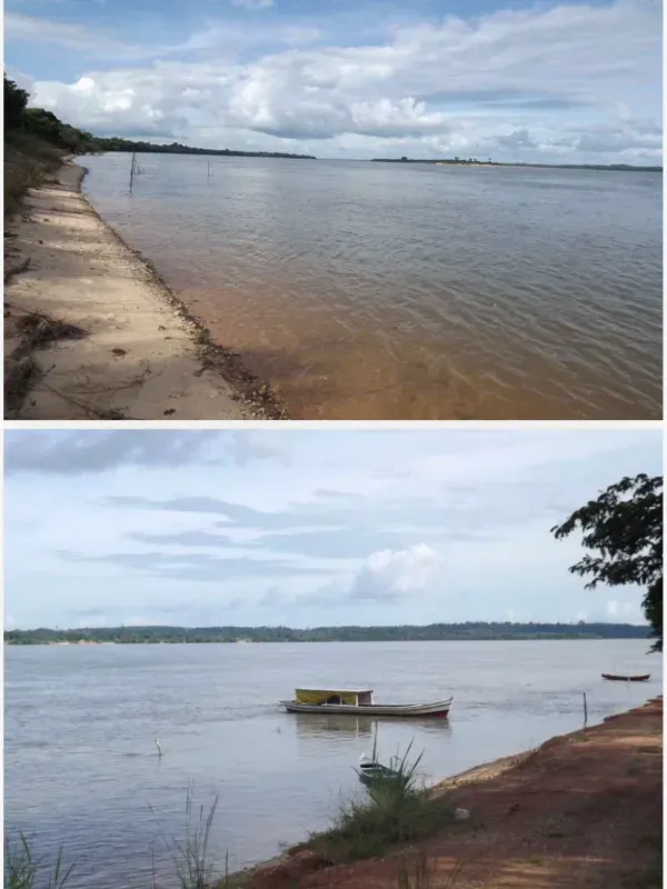 Fazenda em Tucuruí/Pará — Ref SU7204 — Imagem 21
