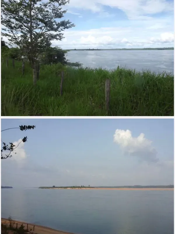 Fazenda em Tucuruí/Pará — Ref SU7204 — Imagem 22