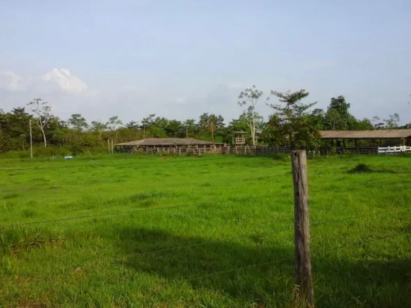 Fazenda em Tucuruí/Pará — Ref SU7204 — Imagem 3