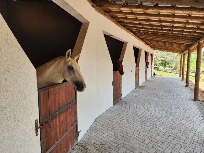Haras em Sete Lagoas/Minas Gerais — Ref D2KXLE — Imagem 10