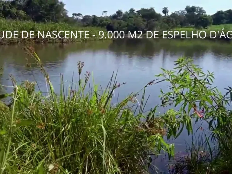 Fazenda em Biquinhas/Minas Gerais — Ref UIPT4F — Imagem 7