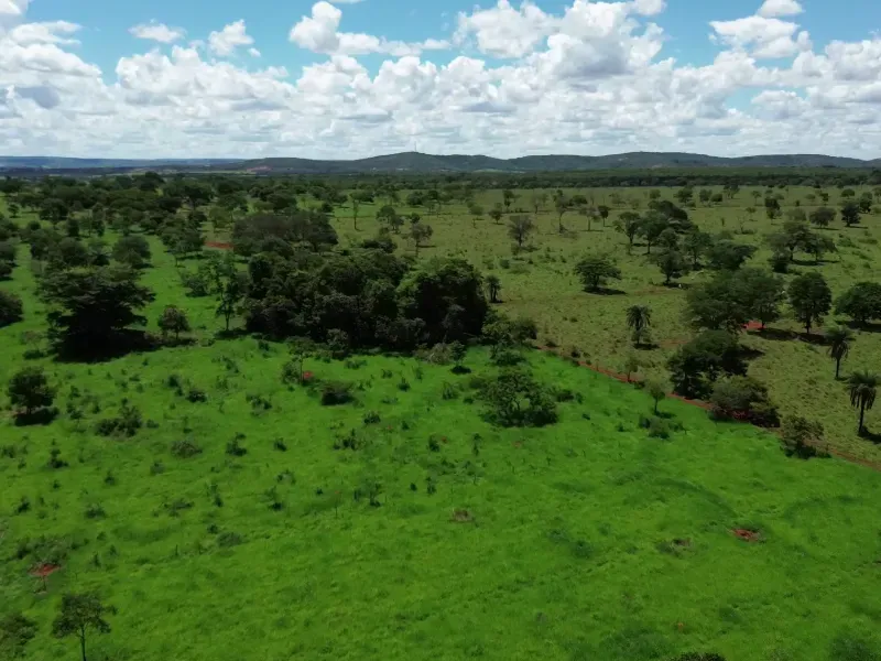Fazenda em Biquinhas/Minas Gerais — Ref UIPT4F — Imagem 21