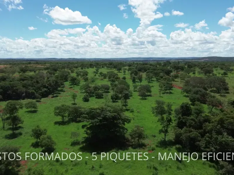 Fazenda em Biquinhas/Minas Gerais — Ref UIPT4F — Imagem 30