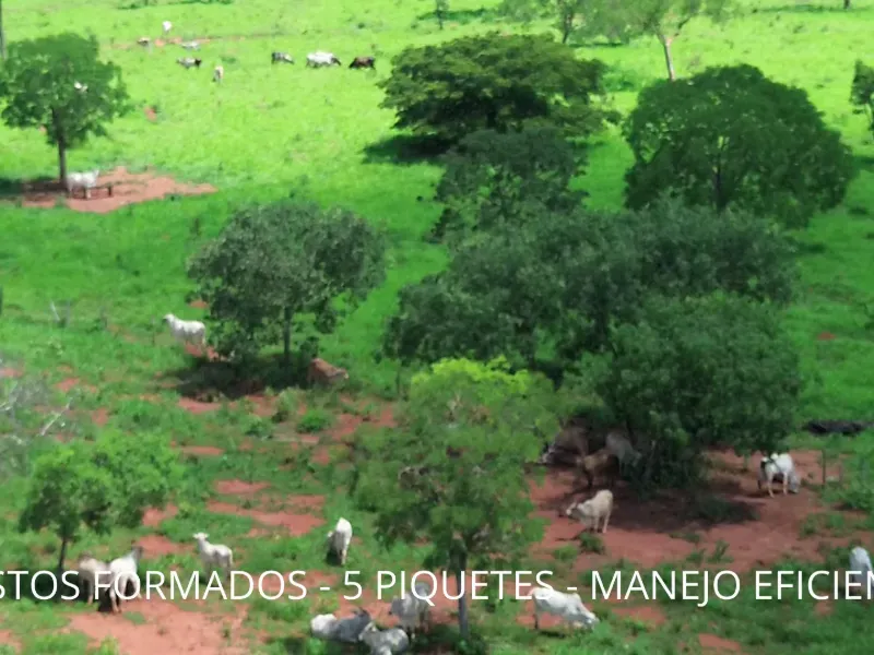 Fazenda em Biquinhas/Minas Gerais — Ref UIPT4F — Imagem 31