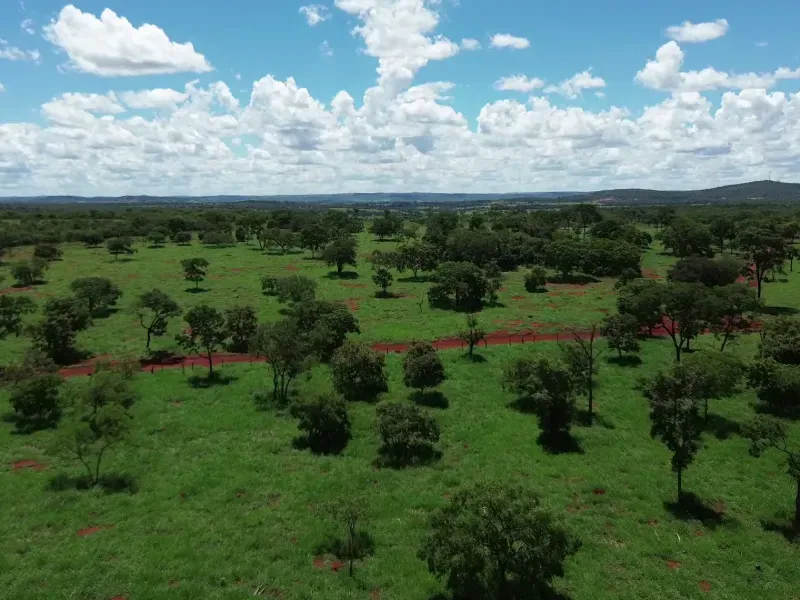 Fazenda em Biquinhas/Minas Gerais — Ref UIPT4F — Imagem 38