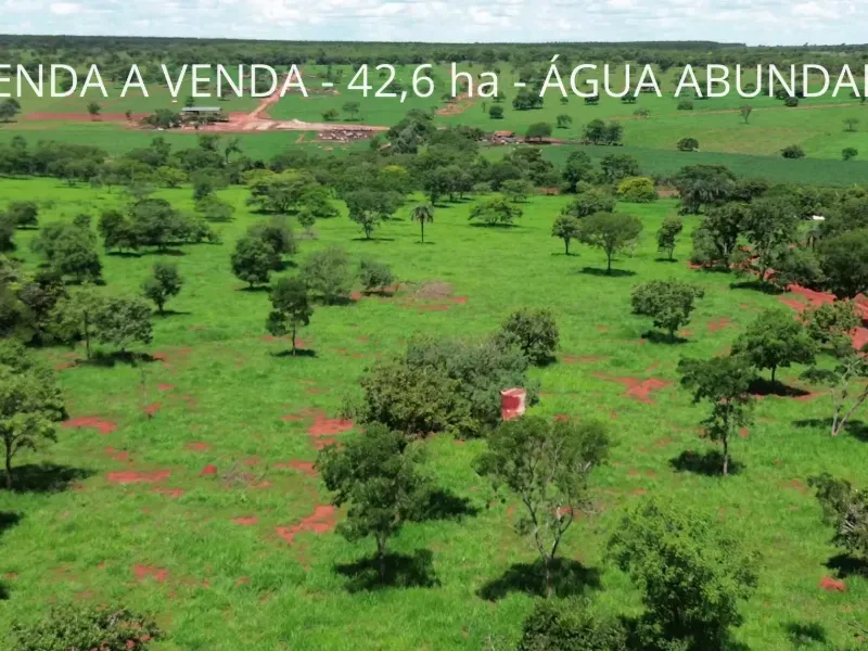 Fazenda em Biquinhas/Minas Gerais — Ref UIPT4F — Imagem 4