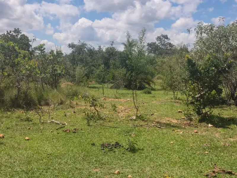 Fazenda em Jaboticatubas/Minas Gerais — Ref 08FDMA — Imagem 8