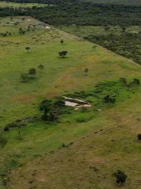 Fazenda em Nova Xavantina/Mato Grosso — Ref 6YC4PE — Imagem 2