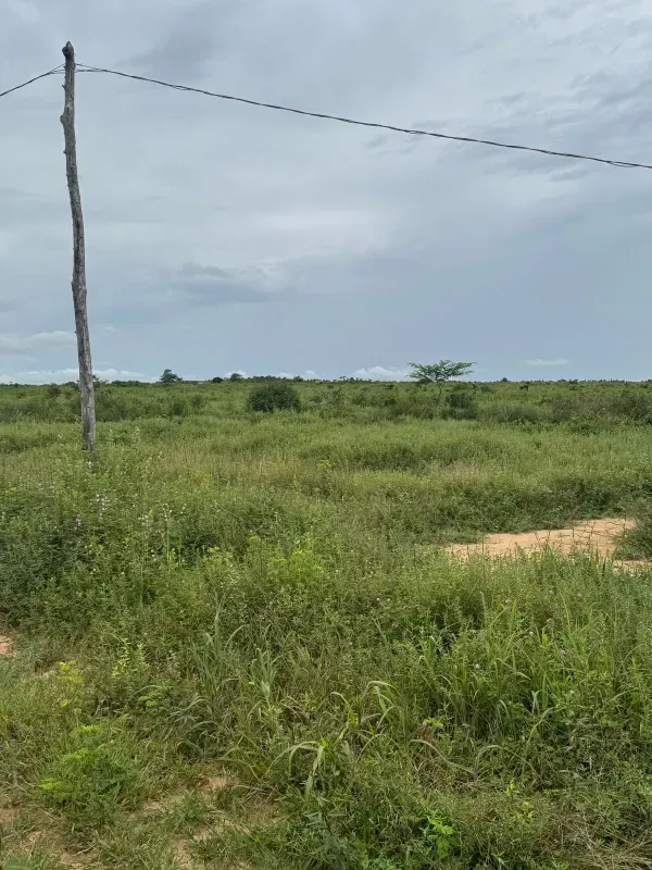 Fazenda em Paranatinga/Mato Grosso — Ref EHVDFO — Imagem 13