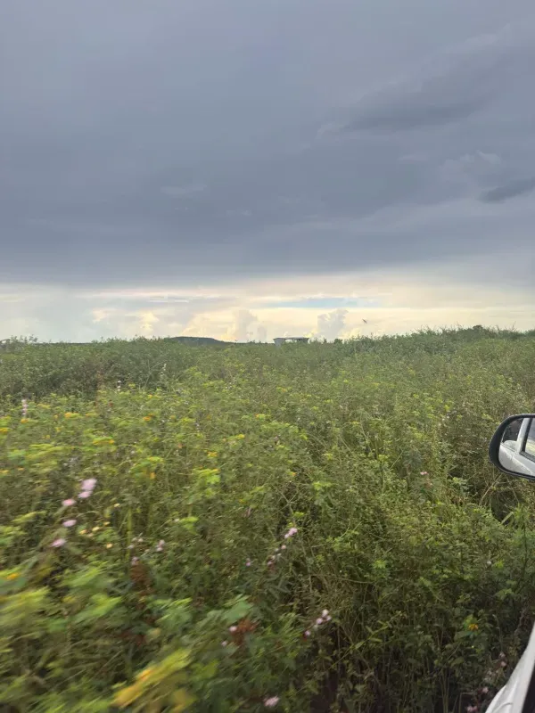 Fazenda em Paranatinga/Mato Grosso — Ref EHVDFO — Imagem 15