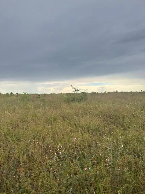 Fazenda em Paranatinga/Mato Grosso — Ref EHVDFO — Imagem 16