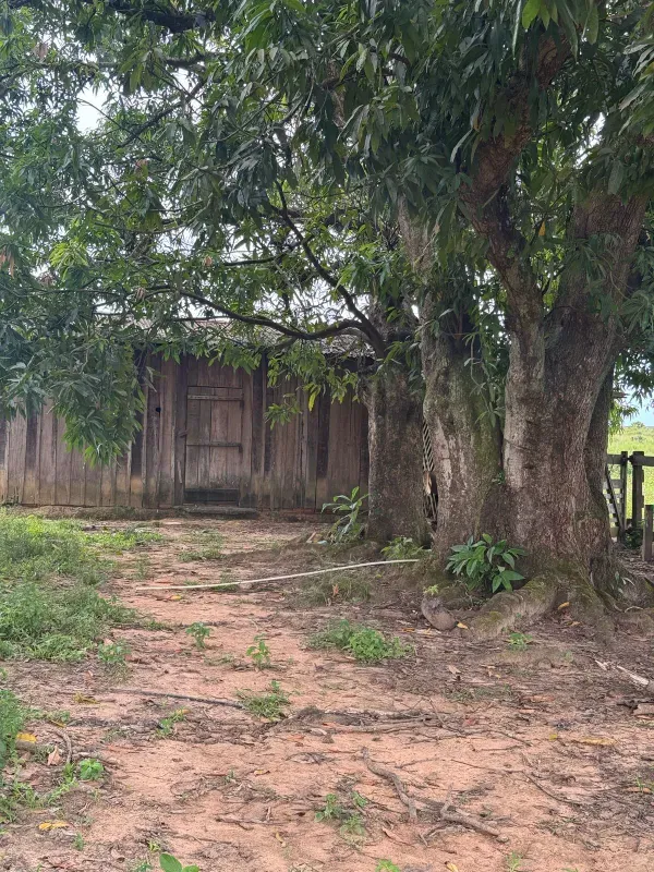 Fazenda em Paranatinga/Mato Grosso — Ref EHVDFO — Imagem 12