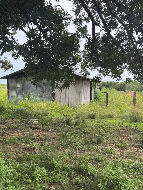 Fazenda em Paranatinga/Mato Grosso — Ref EHVDFO — Imagem 11