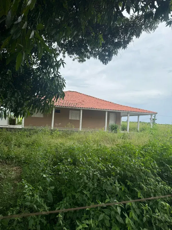 Fazenda em Paranatinga/Mato Grosso — Ref EHVDFO — Imagem 10