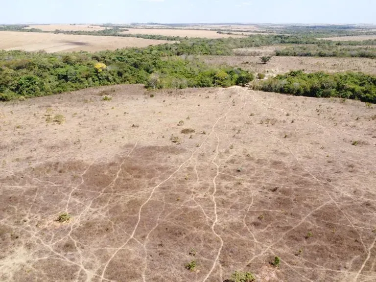 Fazenda em Paranatinga/Mato Grosso — Ref EHVDFO — Imagem 8