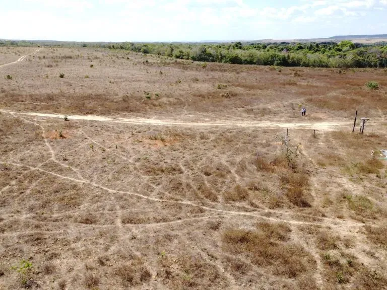 Fazenda em Paranatinga/Mato Grosso — Ref EHVDFO — Imagem 7