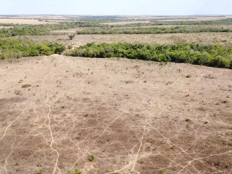 Fazenda em Paranatinga/Mato Grosso — Ref EHVDFO — Imagem 6