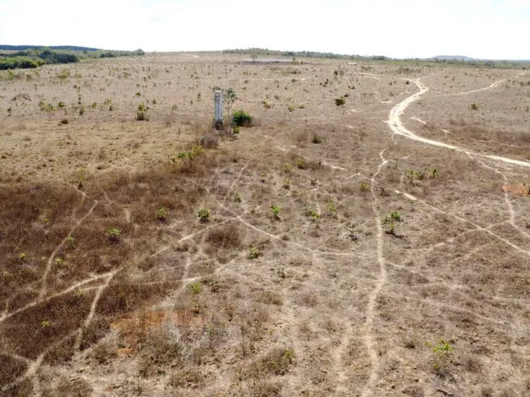 Fazenda em Paranatinga/Mato Grosso — Ref EHVDFO — Imagem 9