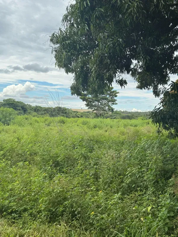 Fazenda em Paranatinga/Mato Grosso — Ref EHVDFO — Imagem 14