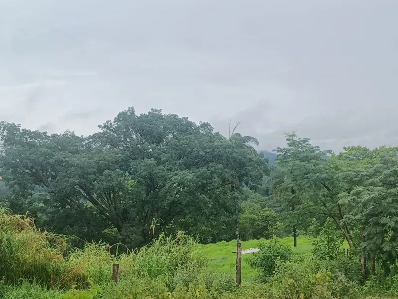 Fazenda em Esmeraldas/Minas Gerais — Ref WGXFMN — Imagem 9