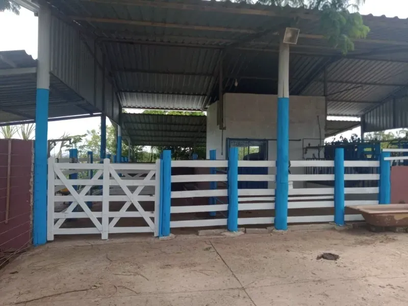 Fazenda em Esmeraldas/Minas Gerais — Ref WGXFMN — Imagem 14