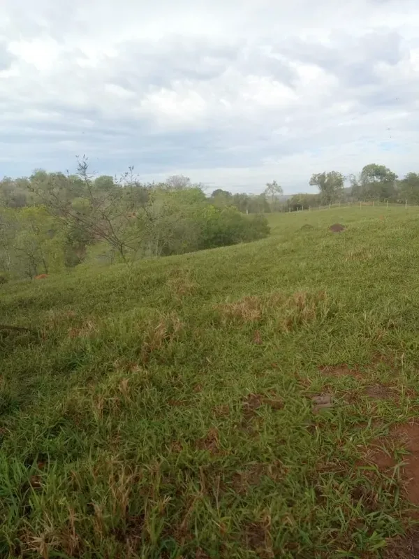 Fazenda em Esmeraldas/Minas Gerais — Ref WGXFMN — Imagem 15