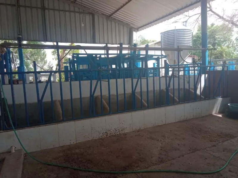 Fazenda em Esmeraldas/Minas Gerais — Ref WGXFMN — Imagem 17